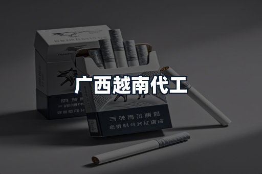 广西越南代工